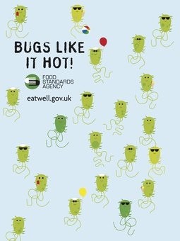 Bugs like it hot environmental grahics 2862