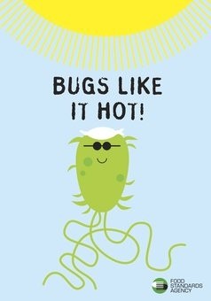 Bugs like it hot postcard 2865