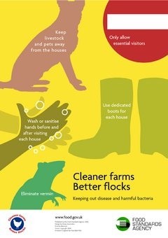 Cleaner Farms Better Flocks poster 1031